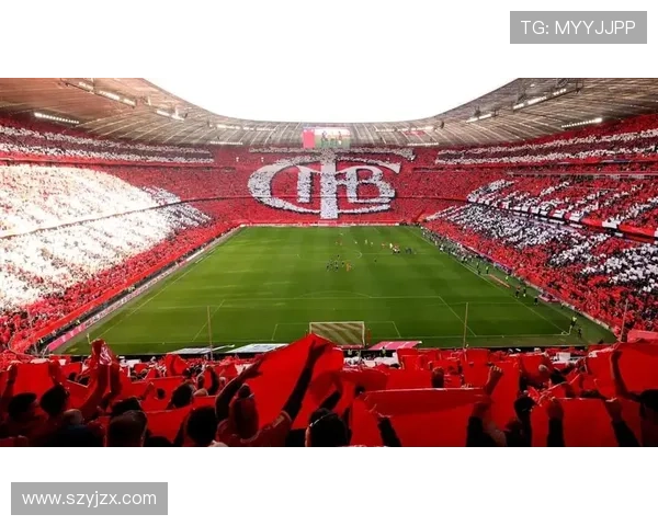 [德甲]第25轮：拜仁慕尼黑2-3波鸿 集锦.